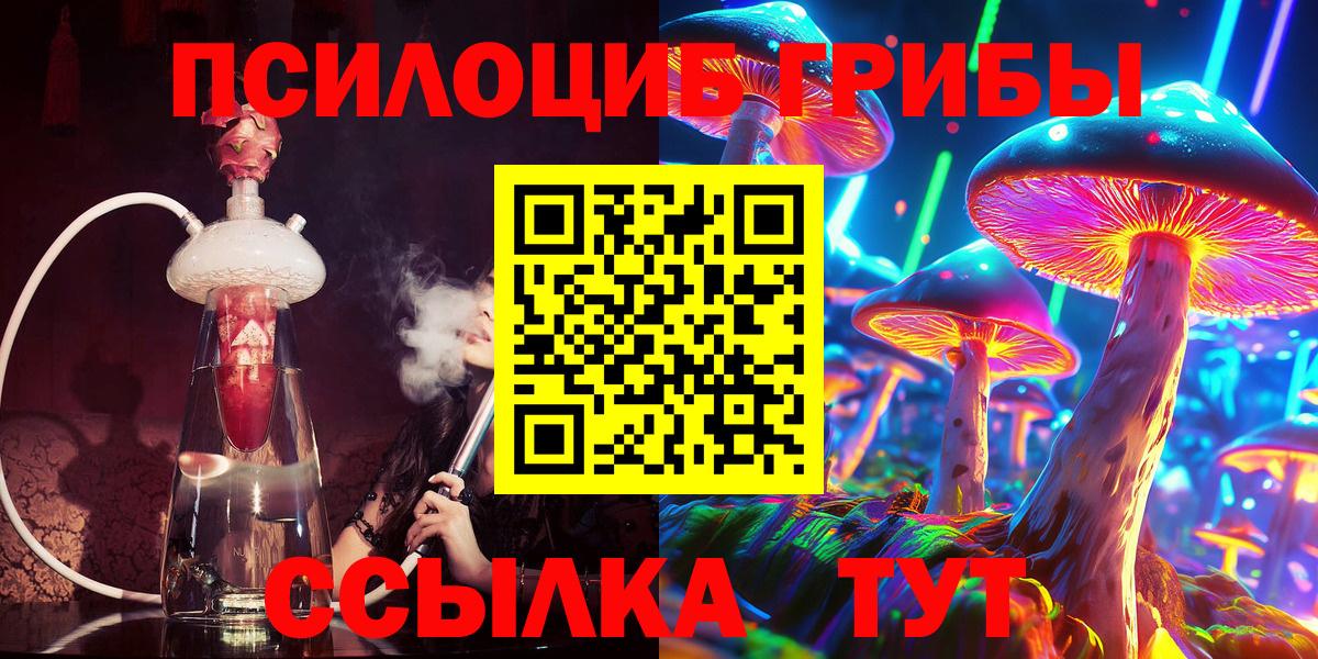 Галлюциногенные грибы Psilocybine cubensis  Псилоцибиновые грибы прущие грибы  Отрадное  Вход с VPN 