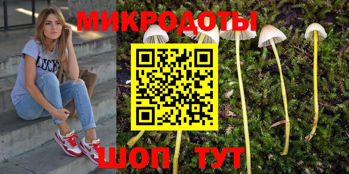 Псилоцибиновые грибы мухоморы Отрадное